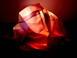 JANAWIELAND_marieluisebaumschlager_dasdiese_Bowsleeveshirt